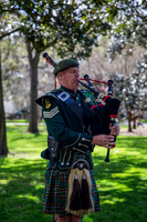 St. Pat's Greening of The Fountain 2026